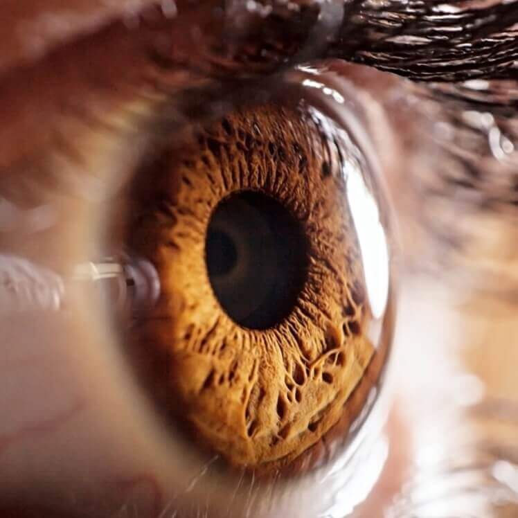 Close Up Of Eye