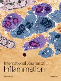 International Journal of Inflammation